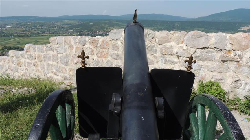 Poznati topovi: popis vatrenog oružja i municije u Bosni iz 1833.